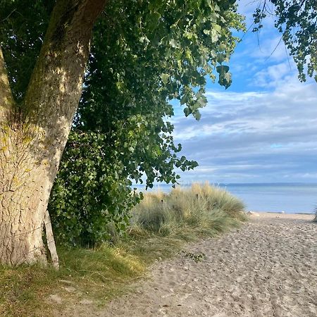 Feriendorf Suedstrand Haus 46 Pelzerhaken Buitenkant foto